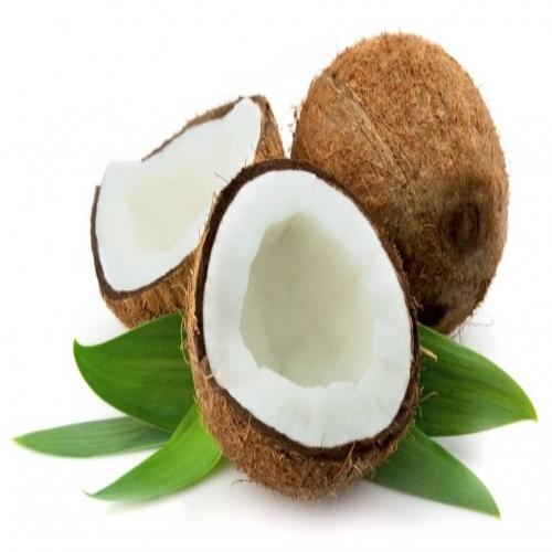 코코넛(국내산)