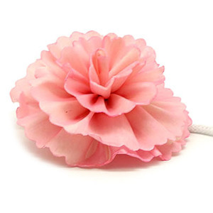 카네이션(carnation) 심지꽃 中-핑크